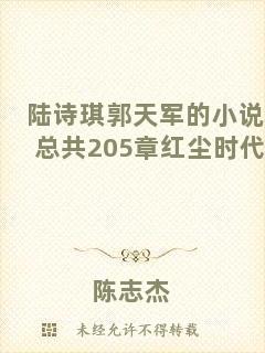陸詩(shī)琪郭天軍的小說(shuō)總共205章紅塵時(shí)代