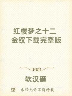 紅樓夢之十二金釵下載完整版