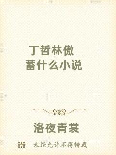 丁哲林傲蓄什么小說