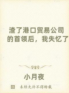 渣了港口貿易公司的首領后，我失憶了