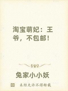 淘寶萌妃：王爺，不包郵！