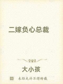 二嫁負心總裁